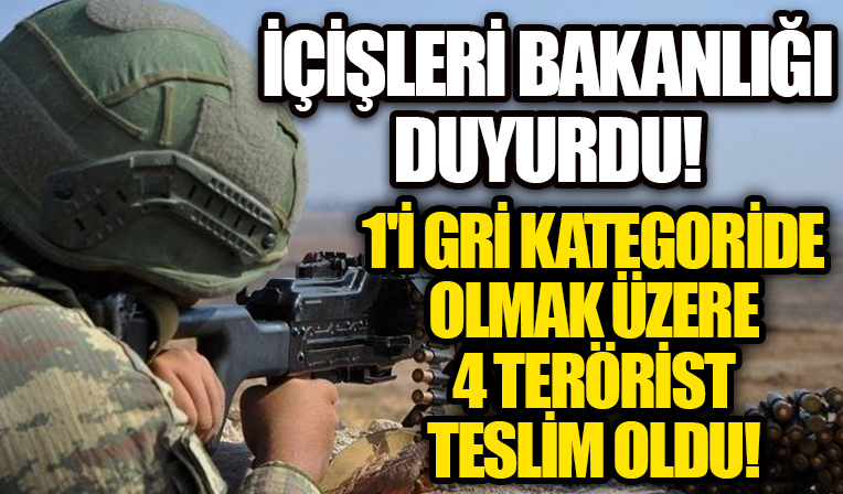 1'i gri kategoride olmak üzere 4 terörist teslim oldu