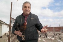 Emekli Idareci Kendini Organik Üretime Verdi