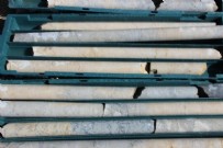 Heyecanlandıran keşif: Dünyada sadece Erzurum’da bulundu, milyonlarca dolar değerinde