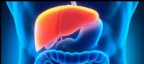 KARACİĞER TEMİZLİĞİ NASIL YAPILIR - Karaciğeri Temizleyen Etkili Yöntemler: Karaciğer Temizliği Nasıl Yapılır? Karaciğeri Hangi Yiyecekler Temizler?