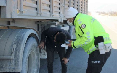 Konya'da Kis Lastigi Denetimleri Basladi