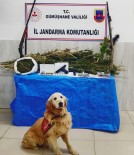 Uyusturucu Taciri 'Altin'dan Kaçamadi