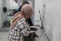 Yarali Yavruya Belediye Ekipleri Sahip Çikti