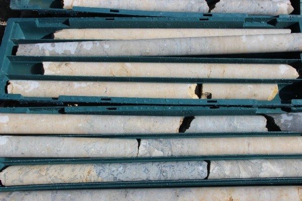 Heyecanlandıran keşif: Dünyada sadece Erzurum’da bulundu, milyonlarca dolar değerinde