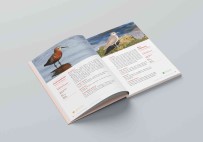 Aliaga Kus Cenneti Ve Güzelhisar Deltasi Kitaplasti