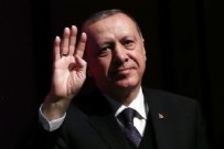 Başkan Erdoğan'dan şampiyonlara tebrik!