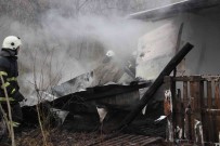 Kocaeli'de Agil Yangini