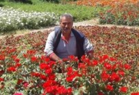 Motosikletiyle Kaza Yapti, Bir Hafta Sonra Hayatini Kaybetti