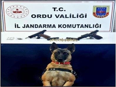 Jandarma Ekiplerinden Uyusturucu Operasyonu Açiklamasi 2 Gözalti