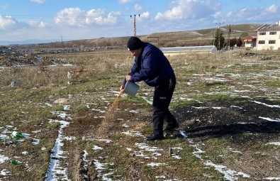 Sungurlu'da Sokak Hayvanlari Unutulmadi