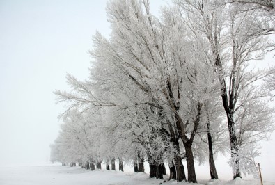 Zonguldak'ta Egitime 1 Gün Ara