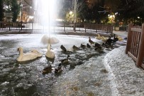 Ankara'nin Simgelerinden Kugulu Park Buz Tuttu