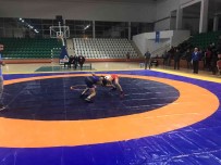 Igdir'da Güres Turnuvasi Heyecani Sona Erdi