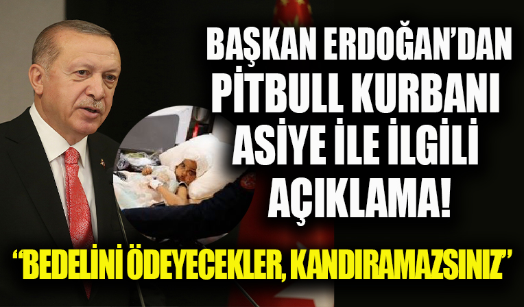 Başkan Recep Tayyip Erdoğan'dan pitbull saldırısına uğrayan Asiye ile ilgili net mesaj: Bunun bedelini ödeyeceksiniz