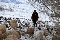 11 Yasindaki Çoban Dondurucu Sogukta Sürü Güdüyor