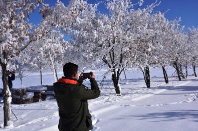 Bitlis'te Dondurucu Soguk