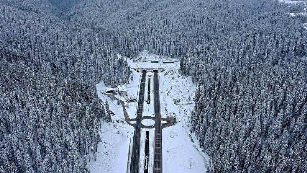 Ekonomiye 250 milyon lira kazandırdı