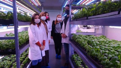 Konteynerde Tarim Dönemi