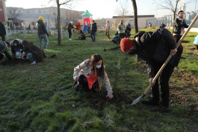 Üniversite Ögrencilerinden Çevreye Duyarli Festival