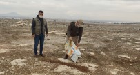 Karaman'da Sokak Hayvanlarina Yem Birakildi Haberi