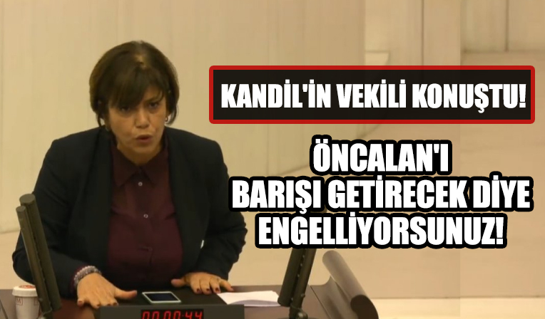 Meral Danış Beştaş: Abdullah Öcalan'ın barış getireceğini biliyorsunuz