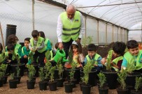 Çocuklar Kendilerine Özel Serada Ekiyor, Suluyor, Yetistiriyor