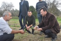Kaymakam Sahin, 'Salep Üretimi Konusunda Çalisiyoruz'