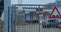 Almanya'da camiye çirkin saldırı! Domuz başı asıp bir de fotoğraf çekildi