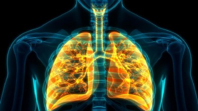 Bronşite Ne İyi Gelir? Bronşite İyi Gelen Doğal Yöntemler Nelerdir?