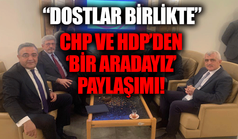 CHP'li Sezgin Tanrıkulu'nun paylaştığı fotoğraf tepki topladı: HDP'li Gergerlioğlu'na 'dost' dedi