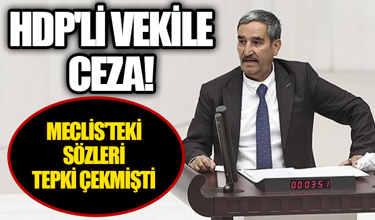HDP'li vekile skandal sözleri tartışılmıştı! Ceza verildi...