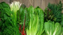 YEŞİLLİKLER NASIL SAKLANIR - Yeşillikler Buzdolabında Nasıl Uzun Süre Saklanır?