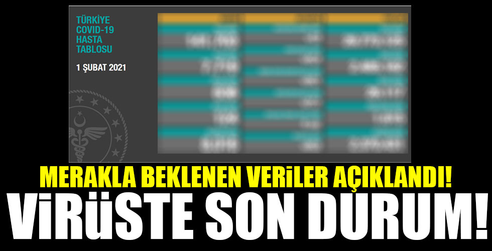Koronavirüste son durum!