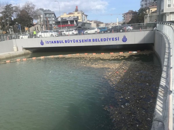 Kurbağalıdere eski haline geri döndü