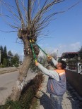 Döşemealtı'nda 120 Parkta Budama Ve Bakım Yapıldı Haberi