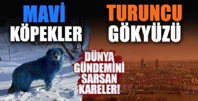 Dünya gündemini sarsan kareler! Gökyüzü turuncuya, köpekler maviye döndü