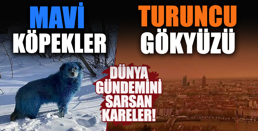 Dünya gündemini sarsan kareler! Gökyüzü turuncuya, köpekler maviye döndü
