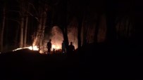 Düzce'deki Orman Yangını Kontrol Altına Alındı Haberi