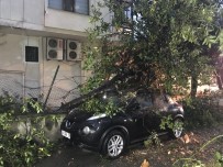 Kadıköy'de Şiddetli Rüzgarda Park Halindeki Otomobilin Üzerine Ağaç Devrildi Haberi
