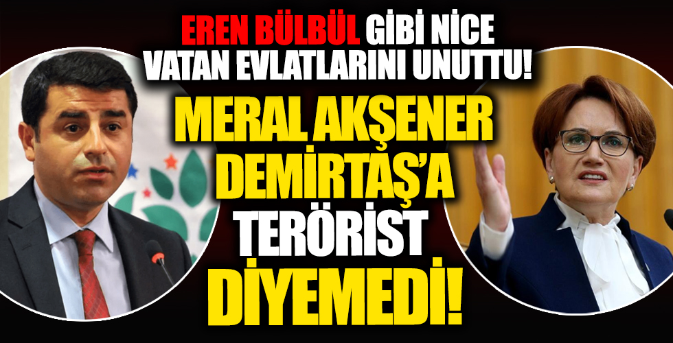 Meral Akşener, Selahattin Demirtaş'a 'terörist' diyemedi