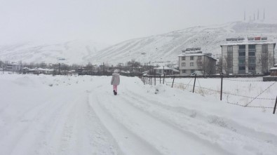 Bingöl Karlıova'da Bahar Havası Yerini Kar Yağışına Bıraktı