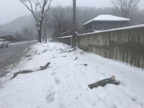 Beykoz'da Kar Kalınlığı 20 Santime Ulaştı Haberi