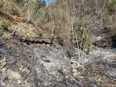 Hatay'da Örtü Altı Yangını Büyümeden Söndürüldü