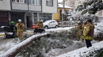 Sancaktepe'de Devrilen Ağaç Yolu Kapadı Haberi