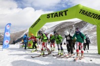 Türkiye Dağ Kayağı Şampiyonası Trabzon'da Yapıldı