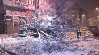 Kağıthane'de Yoğun Kar Yağışı Nedeniyle Yol Kenarındaki Ağaç Devrildi Haberi