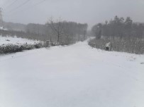 Kar Yağışı Köy Yollarını Ulaşıma Kapattı Haberi