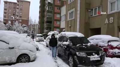 Site Kapısına Devrilen Ağaç Site Sakinlerini Mahsur Bıraktı