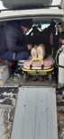 21 Yaşındaki Genç, Paletli Ambulansla Hastaneye Ulaştırıldı