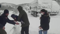 Balıkesir-Bursa Yolu Ulaşıma Kapandı, Mahsur Kalan Aileleri Jandarma Kurtardı Haberi